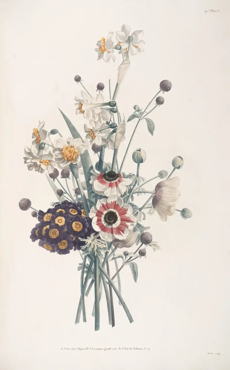 Bukiet anemonów, pierwiosnków, narcyzów i amarantusa, Jean Louis Prévost