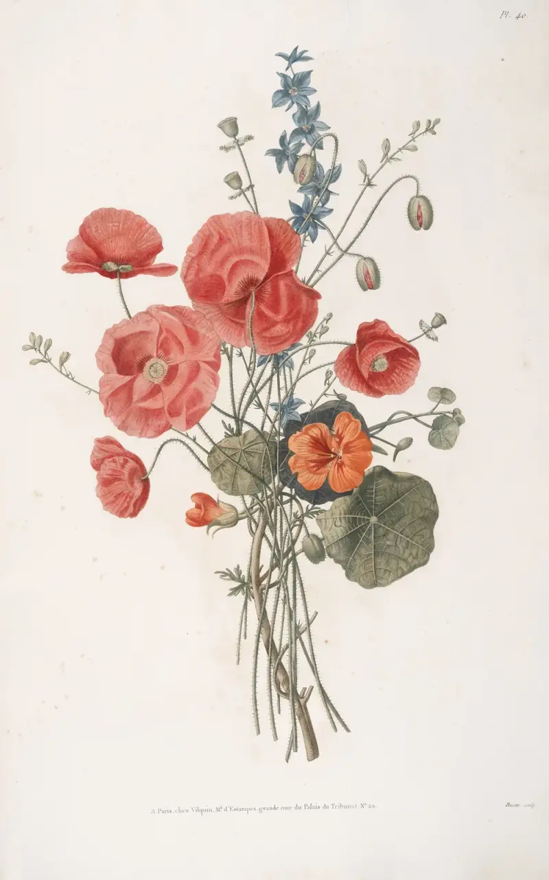 Bukett med vallmo, kapucinblomma och akleja av Jean Louis Prévost
