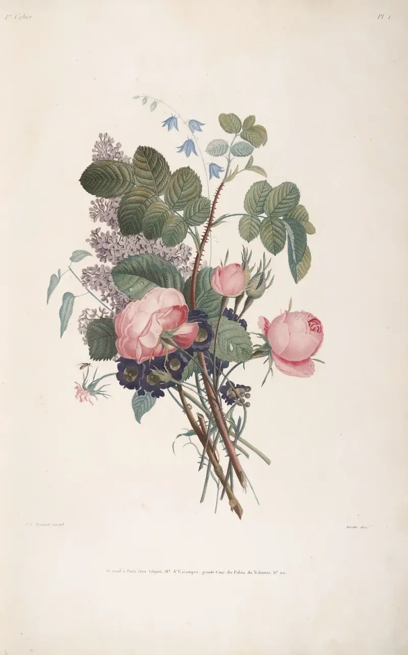 Bouquet de Roses, Lilas, Auricules et Campanules av Jean Louis Prévost