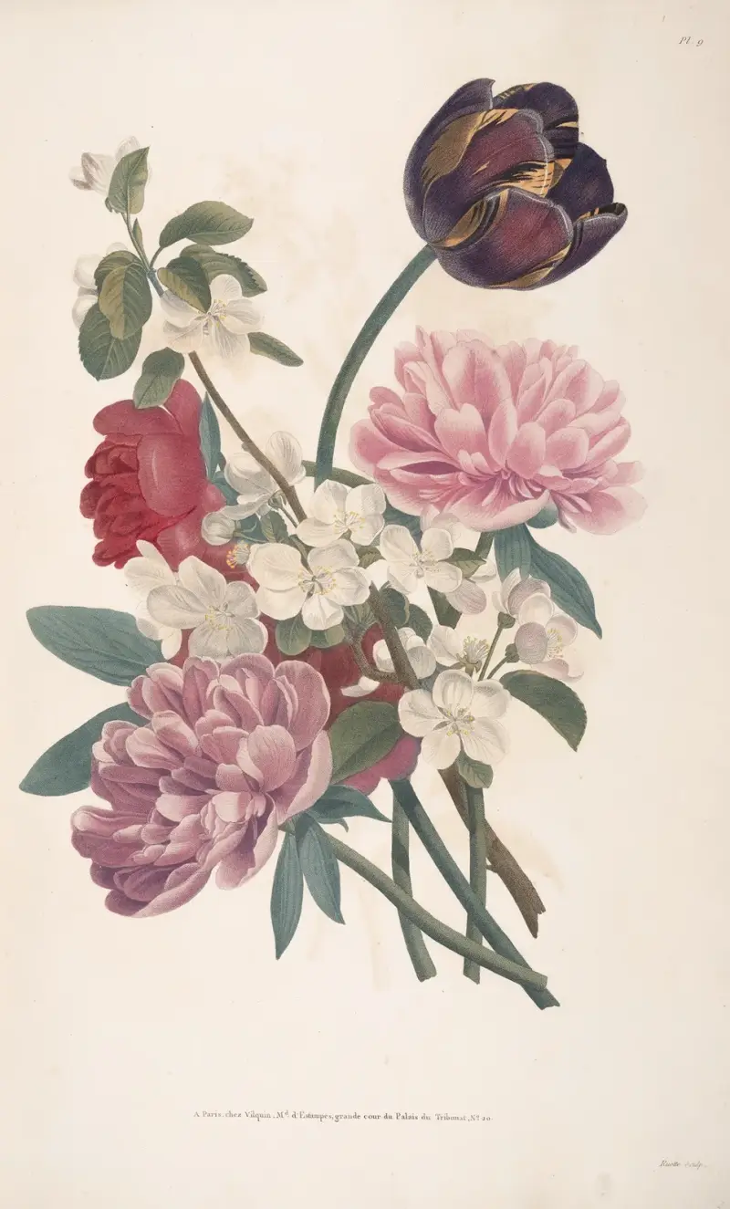 Bukett med tulpan, pioner och en gren från äppelträd av Jean Louis Prévost