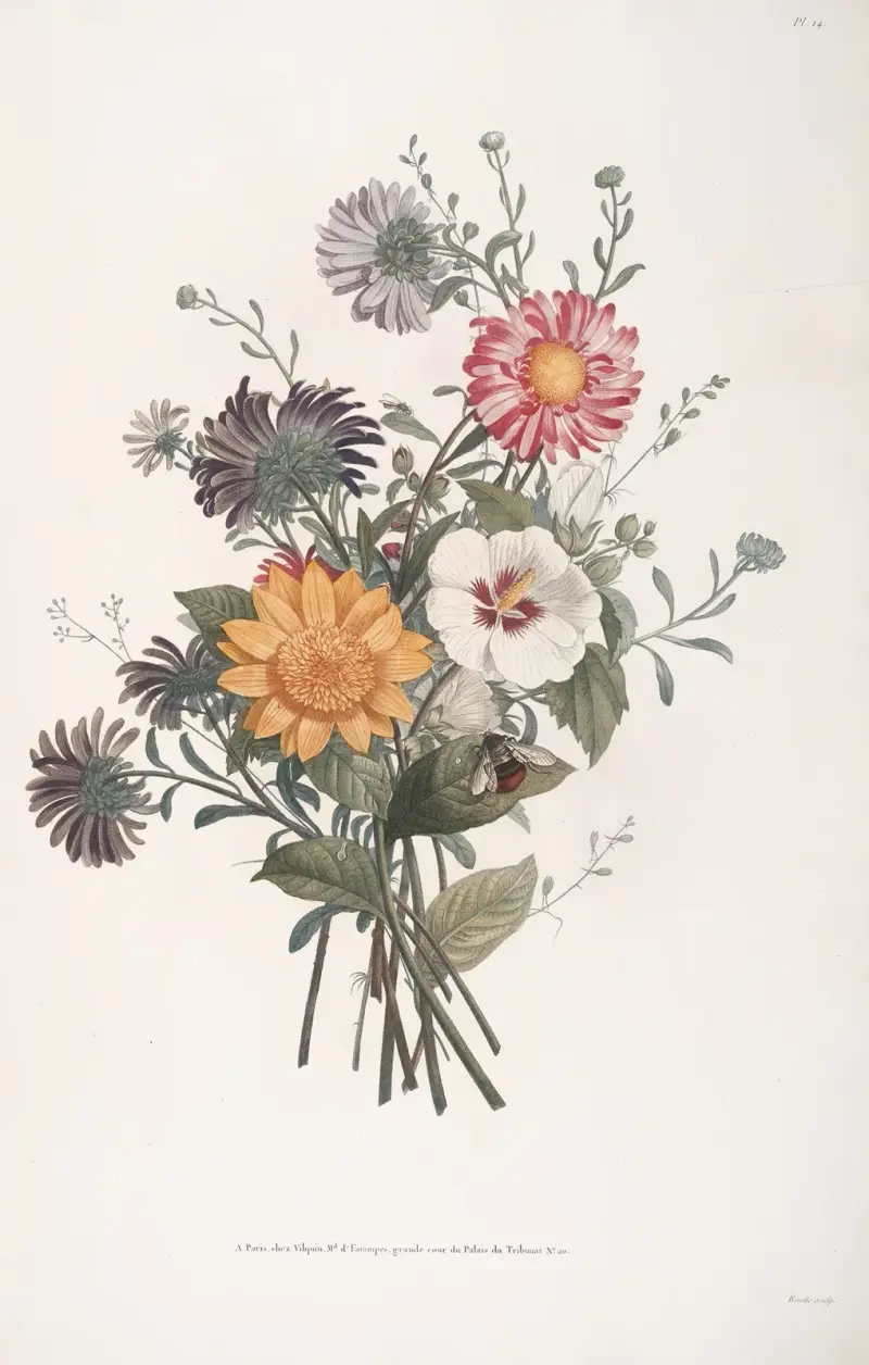 Bouquet aus blühender Sonnenblume, Garten-Margeriten und Hibiskus von Jean Louis Prévost