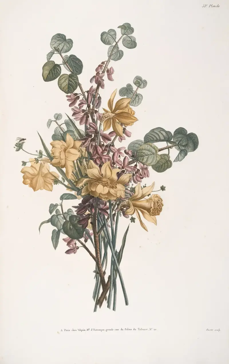 Studie av gainier och narcisser i skål av Jean Louis Prévost