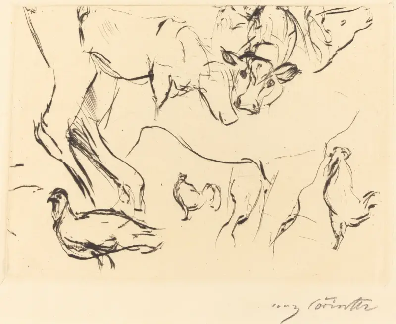 Studia zwierząt (Verschiedene Tierstudien), 1917 – nr 1, Lovis Corinth