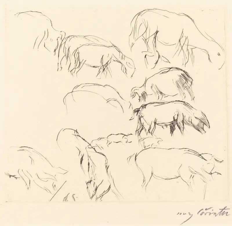 Djurstudier (Verschiedene Tierstudien) av Lovis Corinth