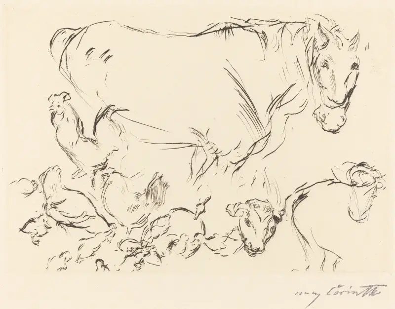 Animal Studies (Verschiedene Tierstudien) von Lovis Corinth