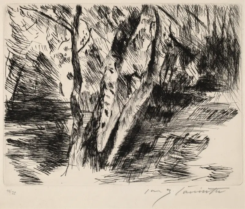 Björkar i Tiergarten av Lovis Corinth