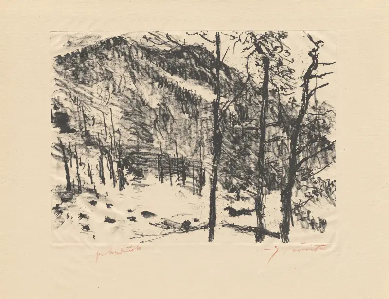 Buchenwald von Lovis Corinth