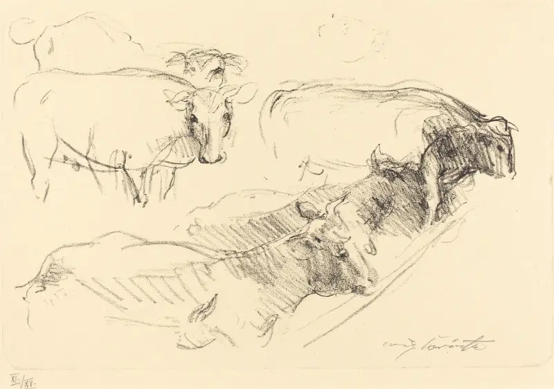 Cows (Kühe) von Lovis Corinth