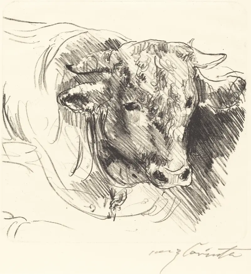 Tjurhuvud av Lovis Corinth