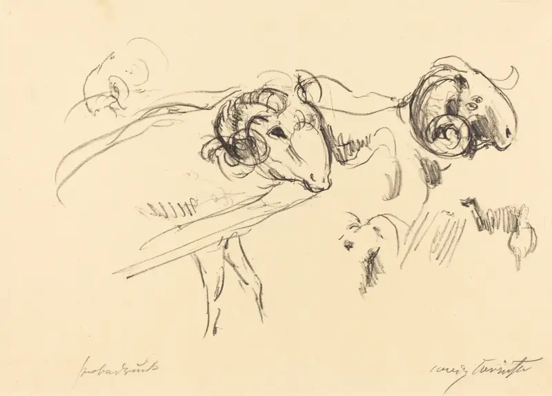 Rams (Schafböcke) von Lovis Corinth