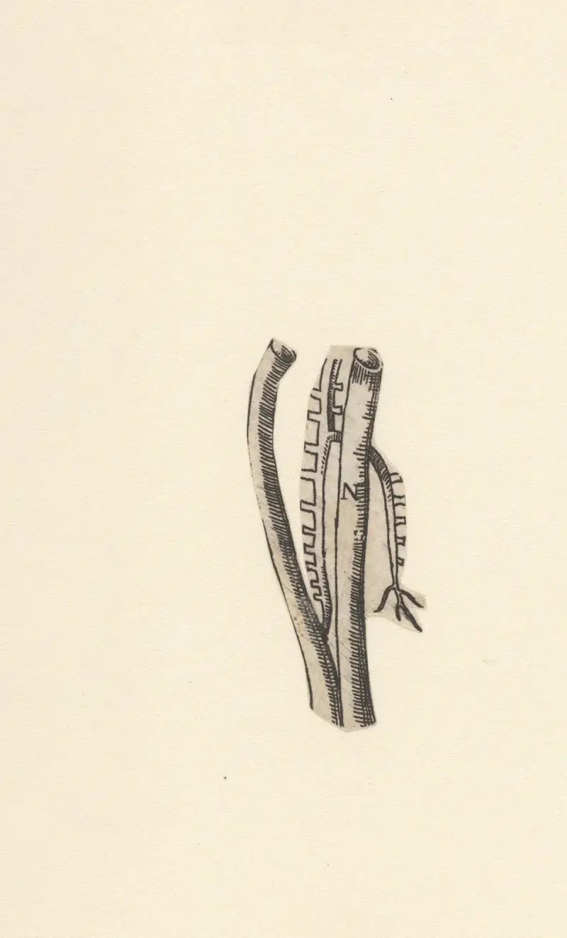 Blutgefäße von Lucas Kilian