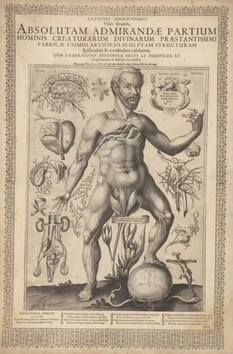 Visio Secundae von Lucas Kilian