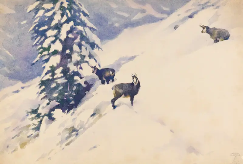Gemsen im Schnee av Ludwig Hohlwein
