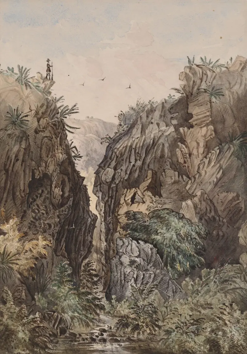 Cañon – S. part San Clemente Island, California av James Madison Alden