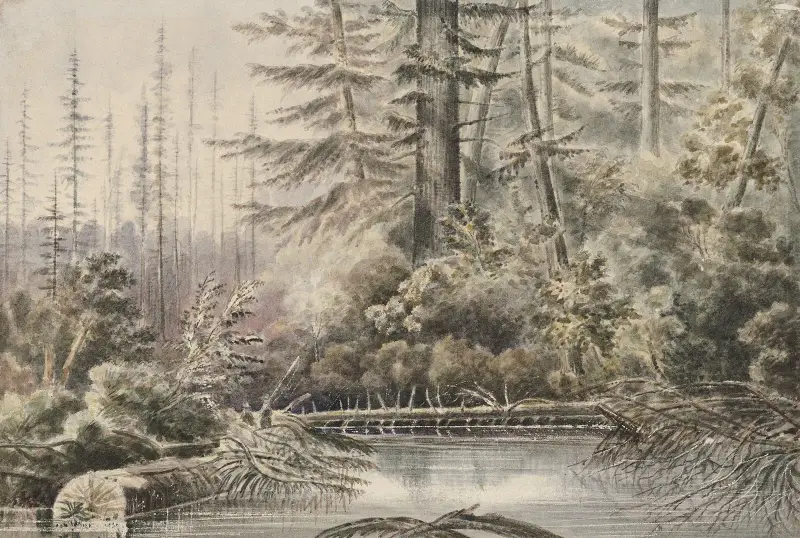 Nära Bellingham Bay, Washington Territory av James Madison Alden