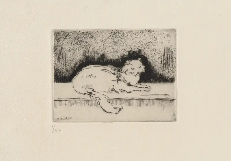 Le chat angora von Marc Gonthier