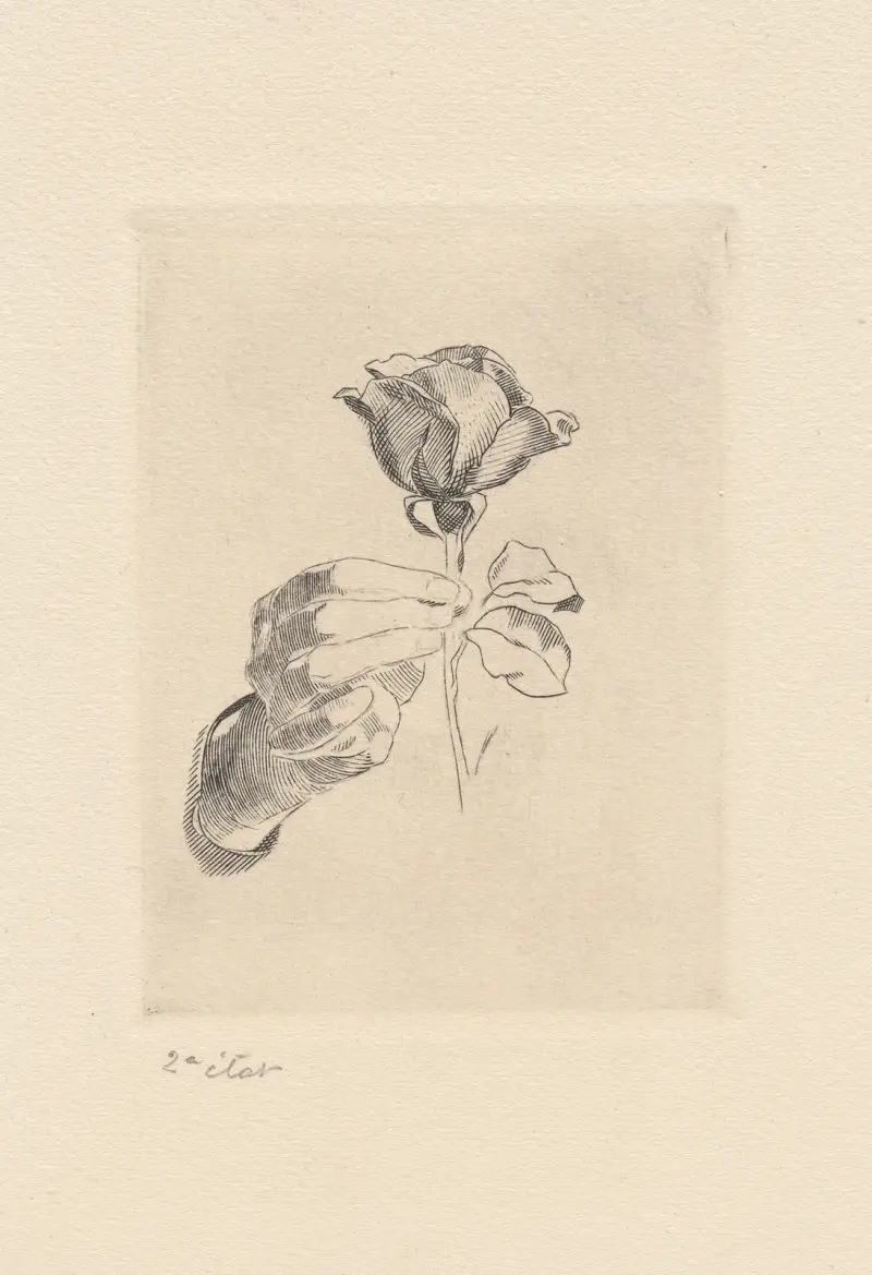 Rose ‘a la main’ von Marc Gonthier