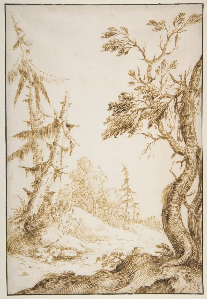 Clearing in a Wooded Landscape av Marco Ricci