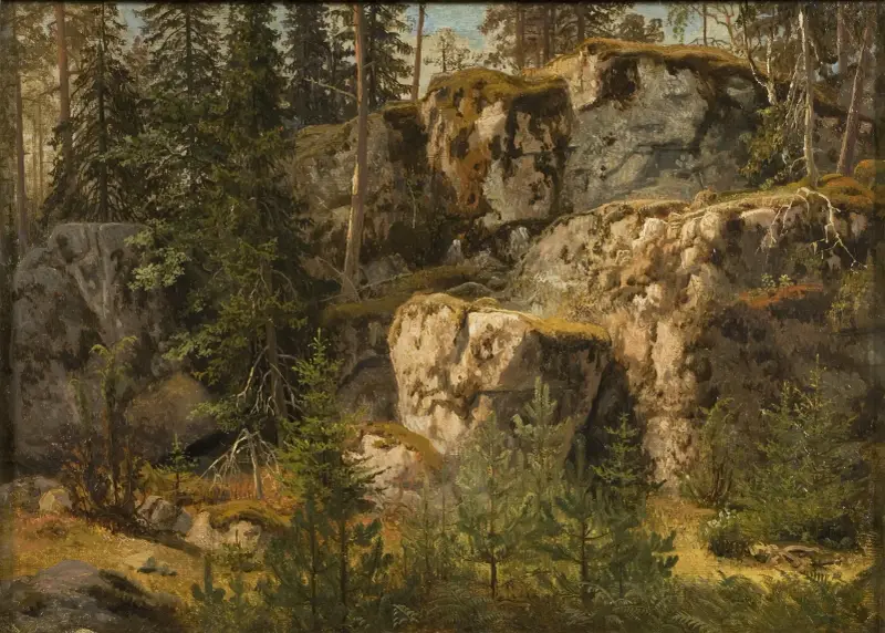 Steiniger Wald von Marcus Larson