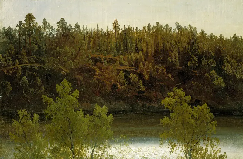 Schwedischer See. Studie von Marcus Larson