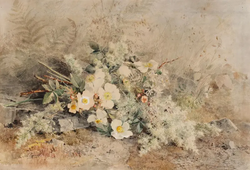Kytice šípkových růží, Marie Egner