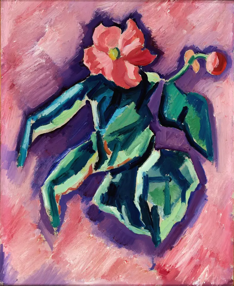 Rosa Begonien von Marsden Hartley