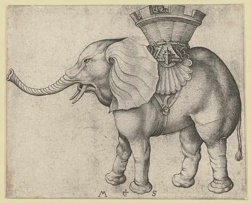 Elefanten av Martin Schongauer