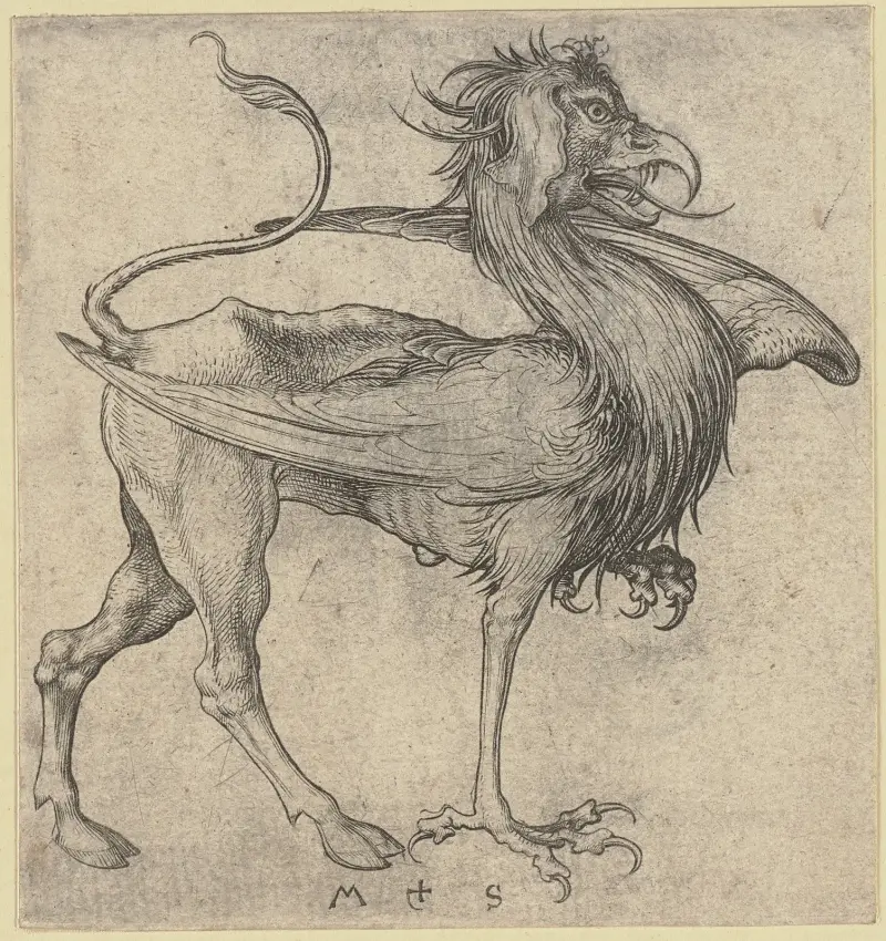 Der Greif, 1475 von Martin Schongauer