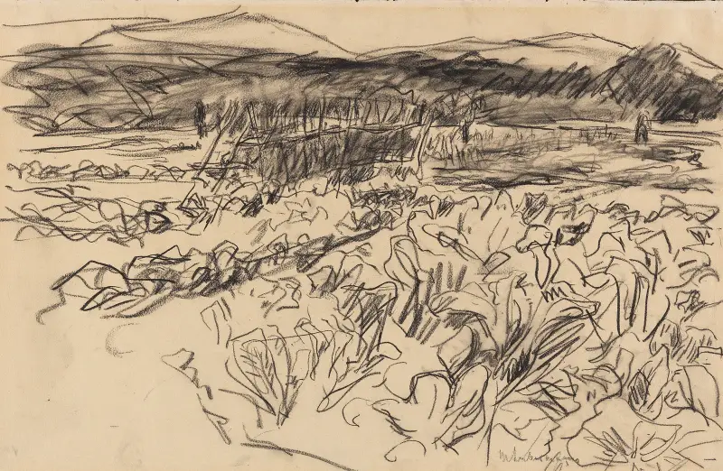 Kohlfeld av Max Liebermann