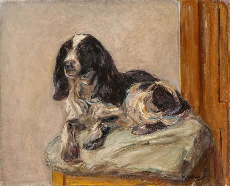 Liggande spaniel av Max Liebermann