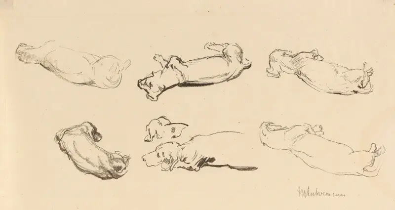 Teckelstudien av Max Liebermann