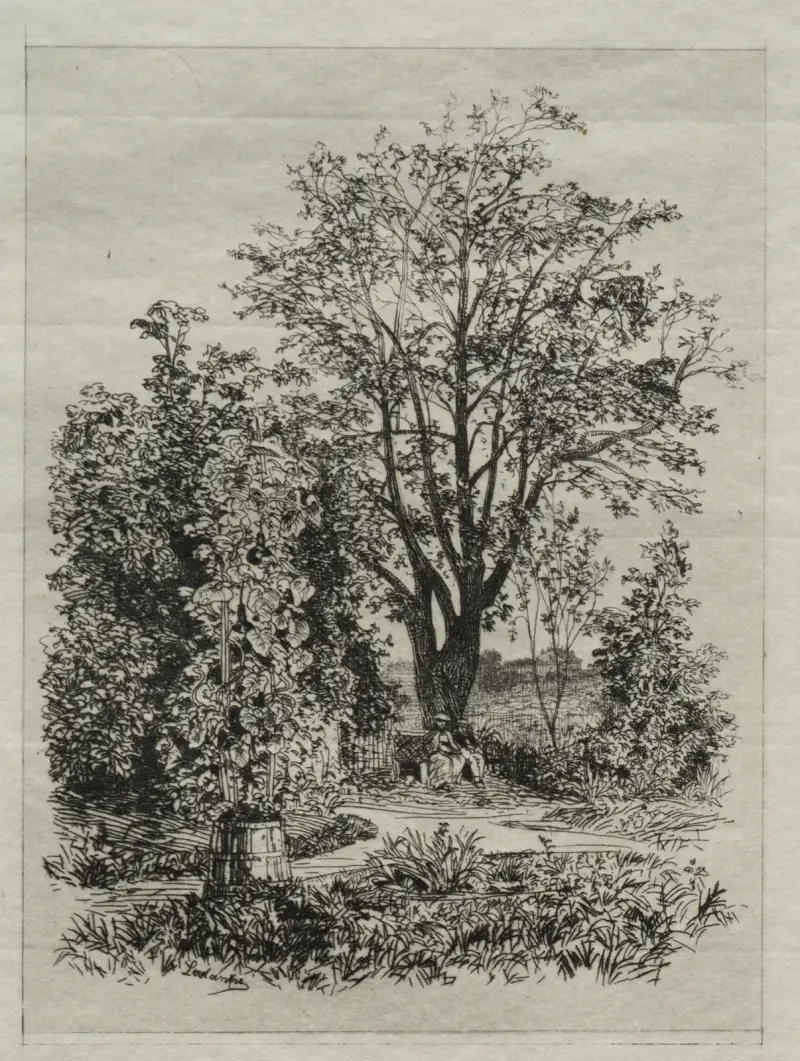 In meinem Garten in Bordeaux von Maxime Lalanne