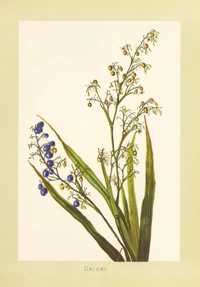 Ukiuki av Isabella McHutcheson Sinclair