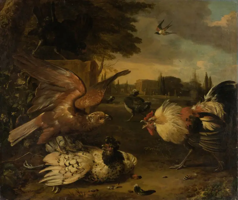 Ein Hahn verteidigt eine Henne gegen einen angreifenden Raubvogel von Melchior d'Hondecoeter