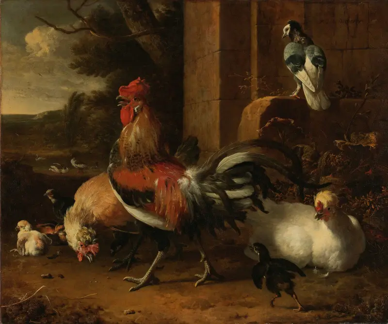 Drůbežárna, 1660, Melchior d'Hondecoeter