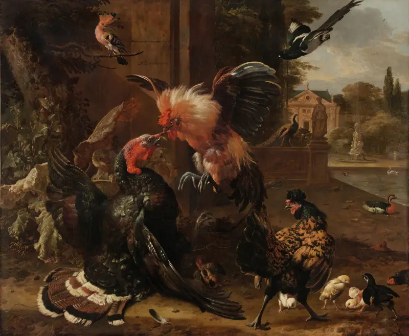 A Rooster and Turkey Fighting av Melchior d'Hondecoeter