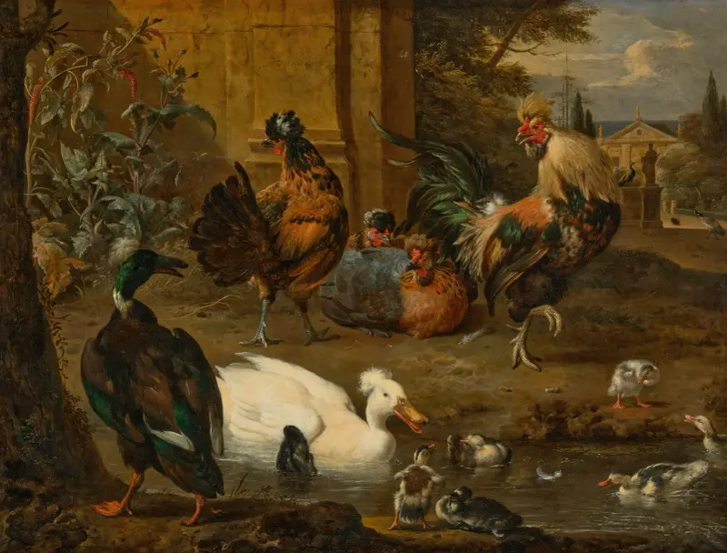 Hahn, Hennen, Enten und Entenküken in einer Landschaft, dahinter ein Haus und Gärten mit Pfauen von Melchior d'Hondecoeter