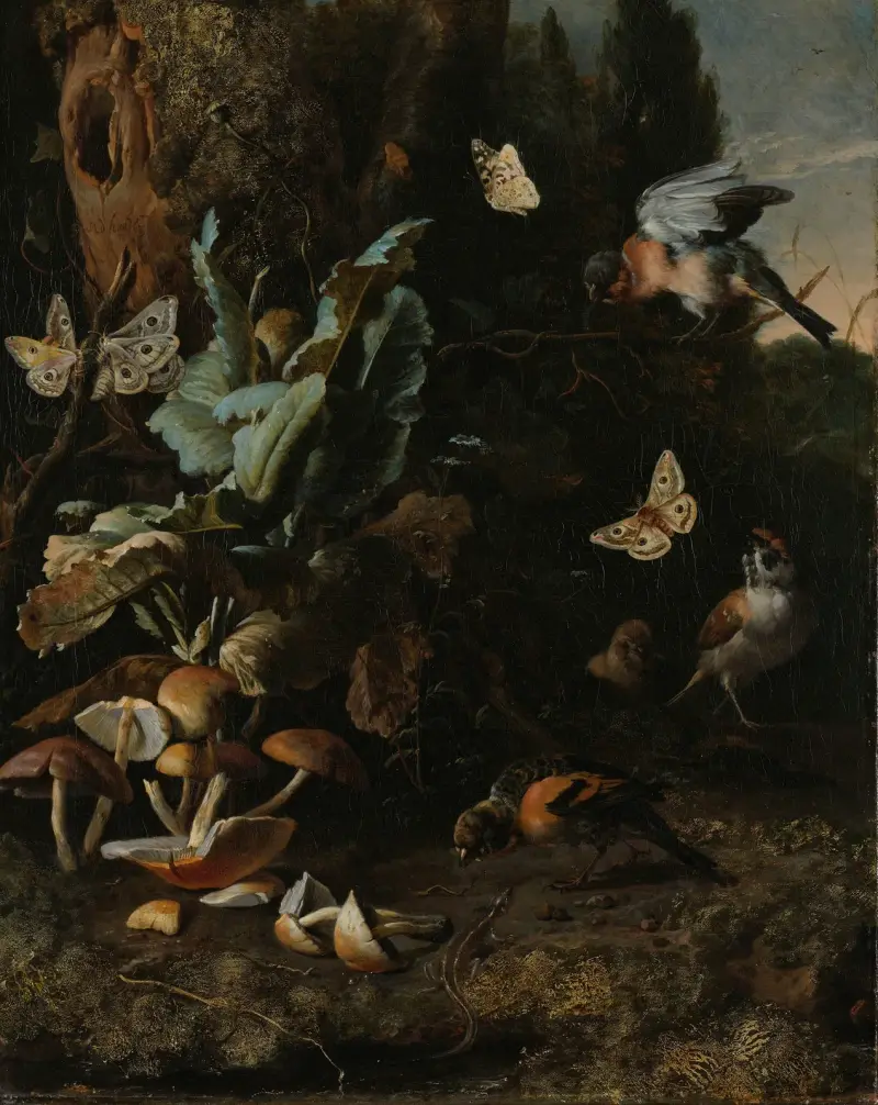 Zwierzęta i rośliny, Melchior d'Hondecoeter