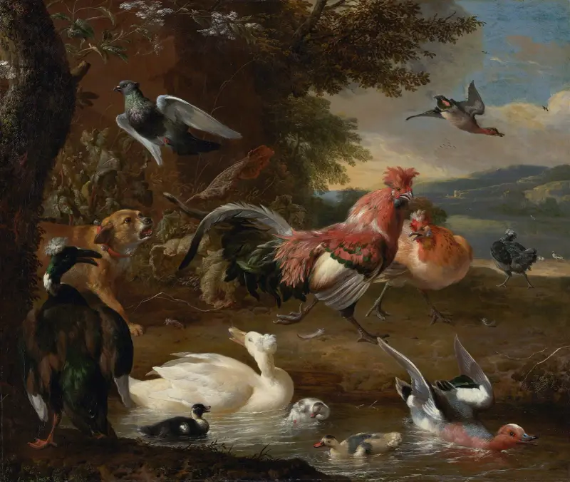Hühner und Enten von Melchior d'Hondecoeter