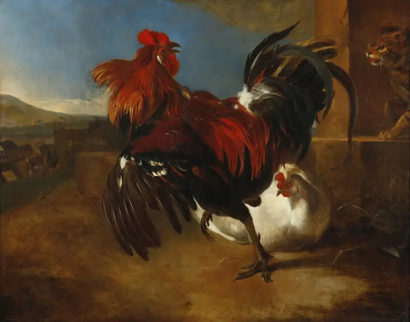 Poultry-yard with angered cock av Melchior d'Hondecoeter