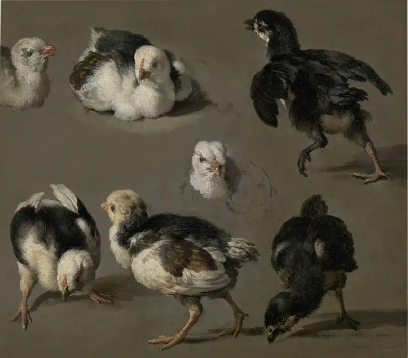 Sieben Küken von Melchior d'Hondecoeter