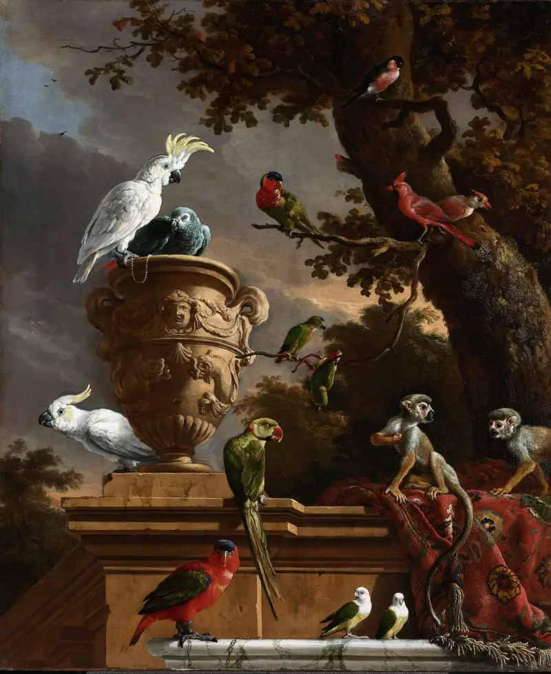 Menageriet, Melchior d'Hondecoeter