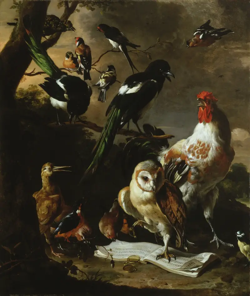 Vogelkonzert von Melchior d'Hondecoeter