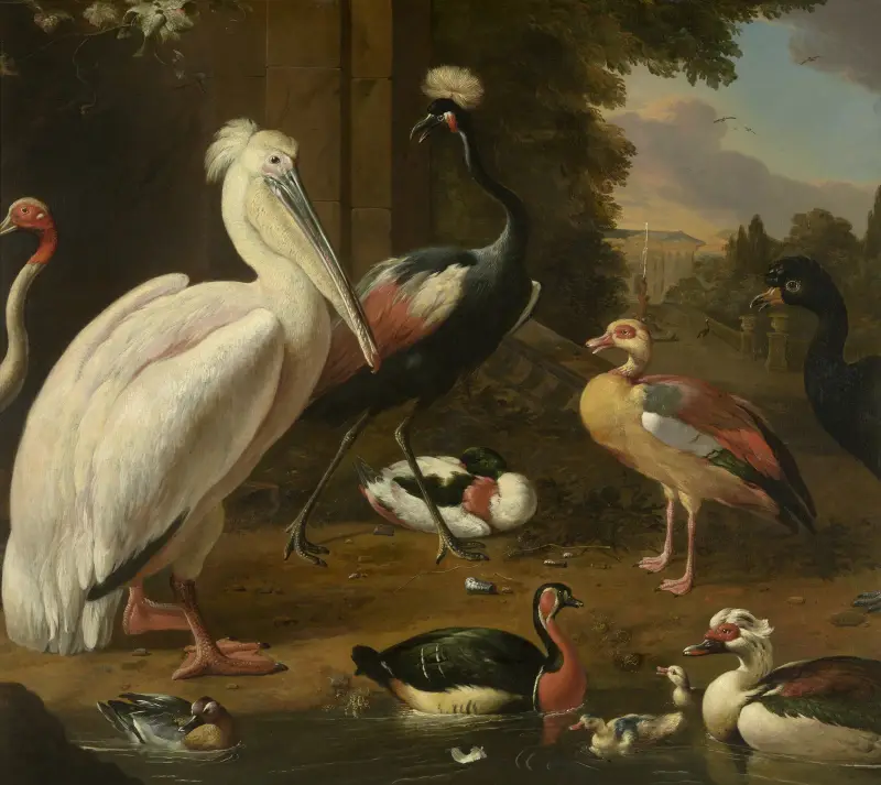 Waterfowl, Melchior de Hondecoeter av Melchior d'Hondecoeter