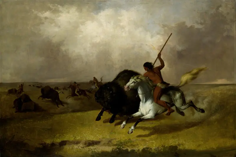 Buffalo Hunt on the Southwestern Prairies av John Mix Stanley