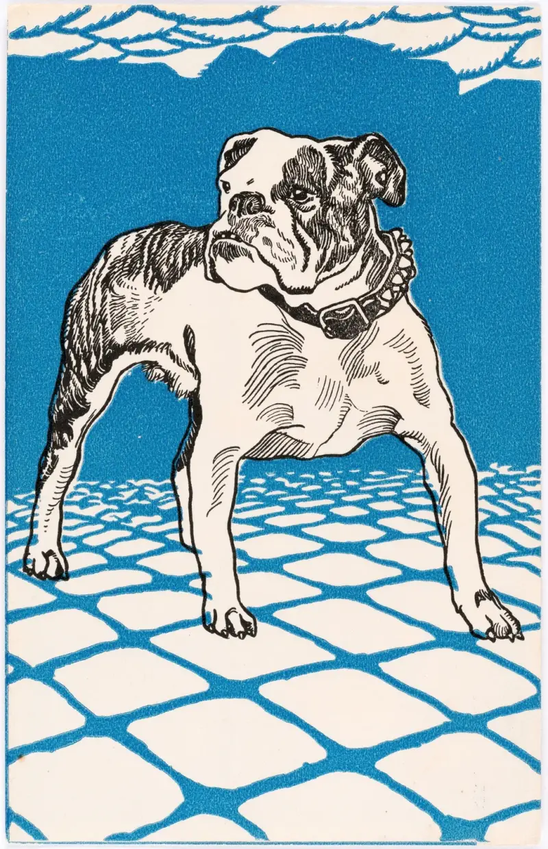 Nr. 680: Bulldogge av Moriz Jung