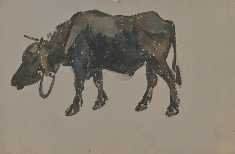Bawoł – Nr. 1, Johann Nepomuk Rauch
