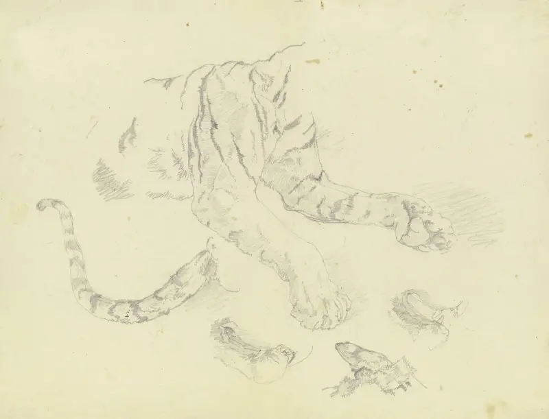 En tiger av Johann Nepomuk Rauch