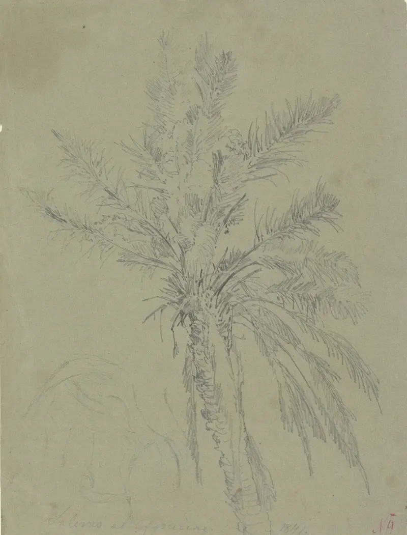 Palm tree in Salerno av Johann Nepomuk Rauch