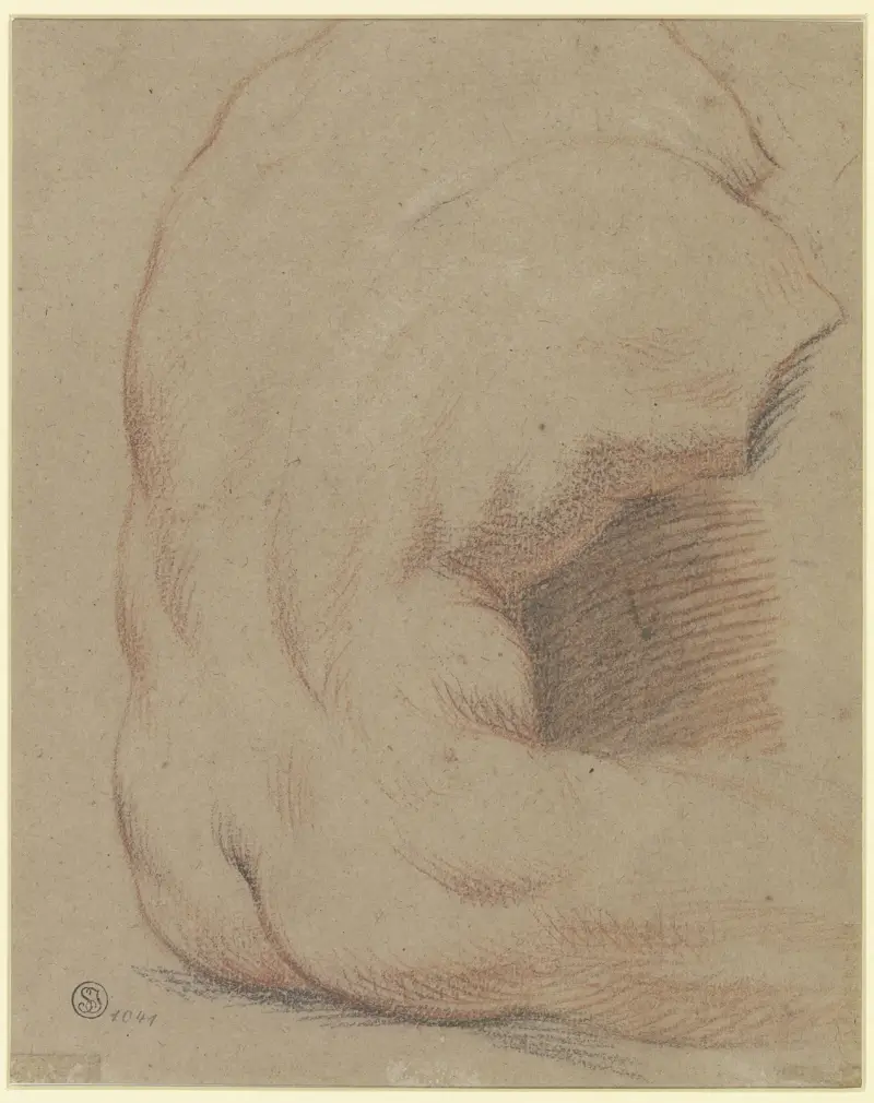 Rückenansicht eines männlichen Torso (Torso vom Belvedere) av Nicolas Lancret
